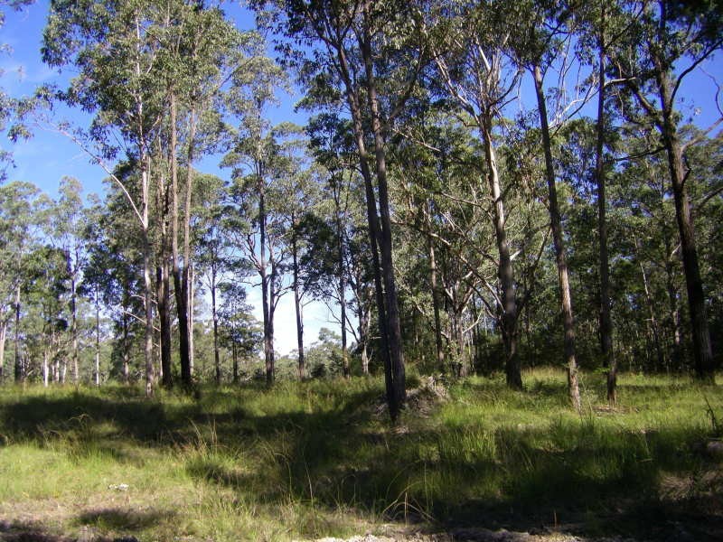 Lot 2 Mill Creek Road, Stroud NSW 2425