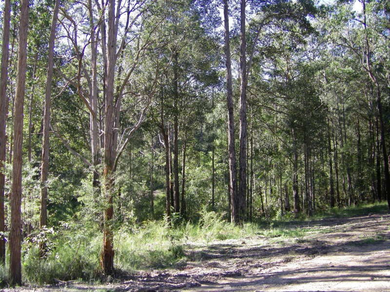 Lot 2 Mill Creek Road, Stroud NSW 2425