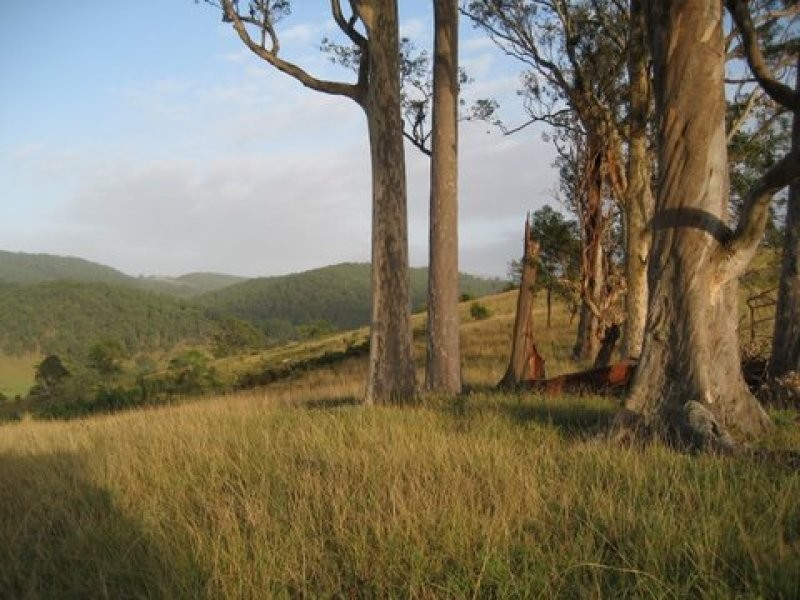 9 Nevilles Road, Stroud NSW 2425