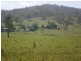1402 Bucketts Way, Stroud NSW 2425