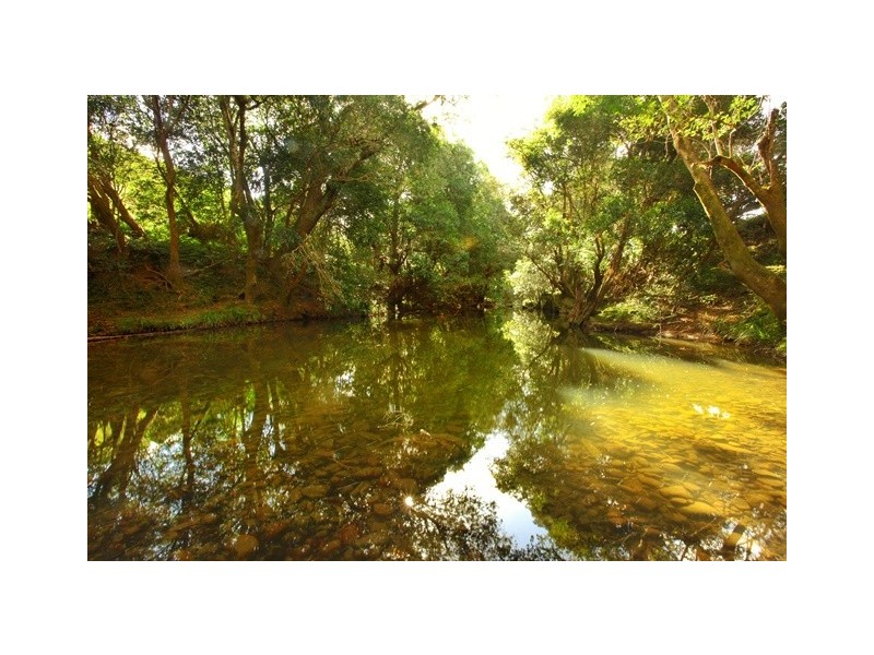Stroud NSW 2425