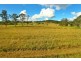 Stroud NSW 2425