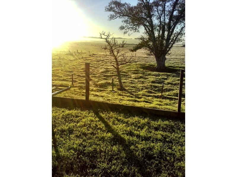 125 McClymonts Swamp Rd, Wallalong NSW 2320