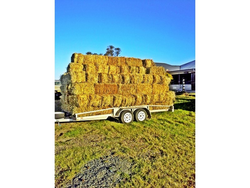 125 McClymonts Swamp Rd, Wallalong NSW 2320