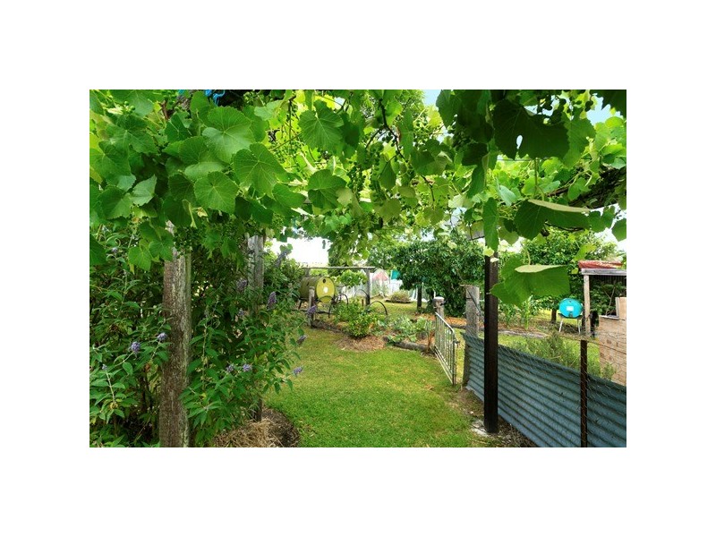 49 Maddens Lane, Wards River NSW 2422