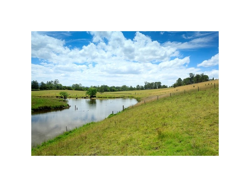 49 Maddens Lane, Wards River NSW 2422