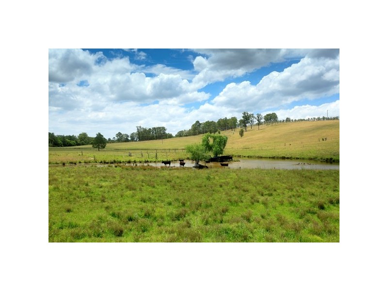 49 Maddens Lane, Wards River NSW 2422