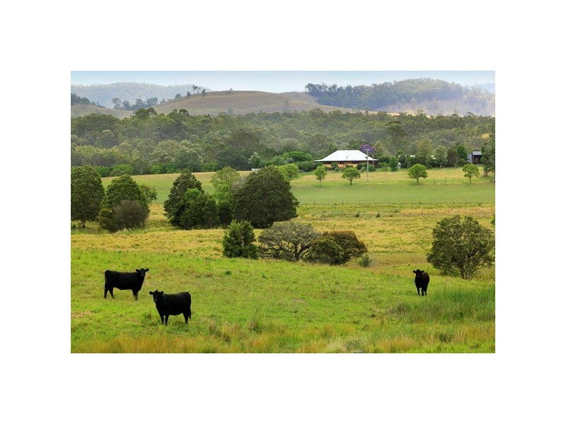 49. Maddens Lane, Wards River NSW 2422