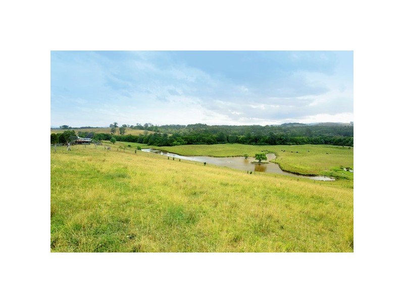 49. Maddens Lane, Wards River NSW 2422