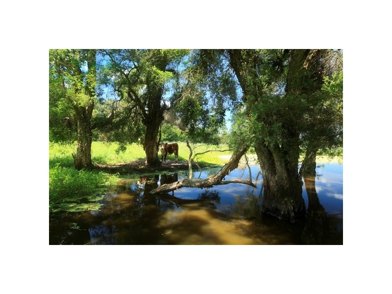Stroud NSW 2425