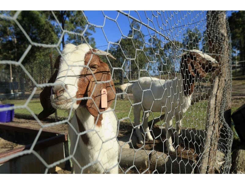 Clarence Town NSW 2321