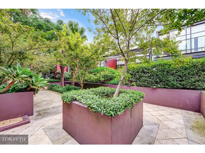 13/18 Jacques Street, Chatswood NSW 2067