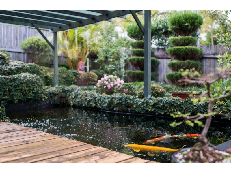 17 Jenkins Street, Chatswood NSW 2067