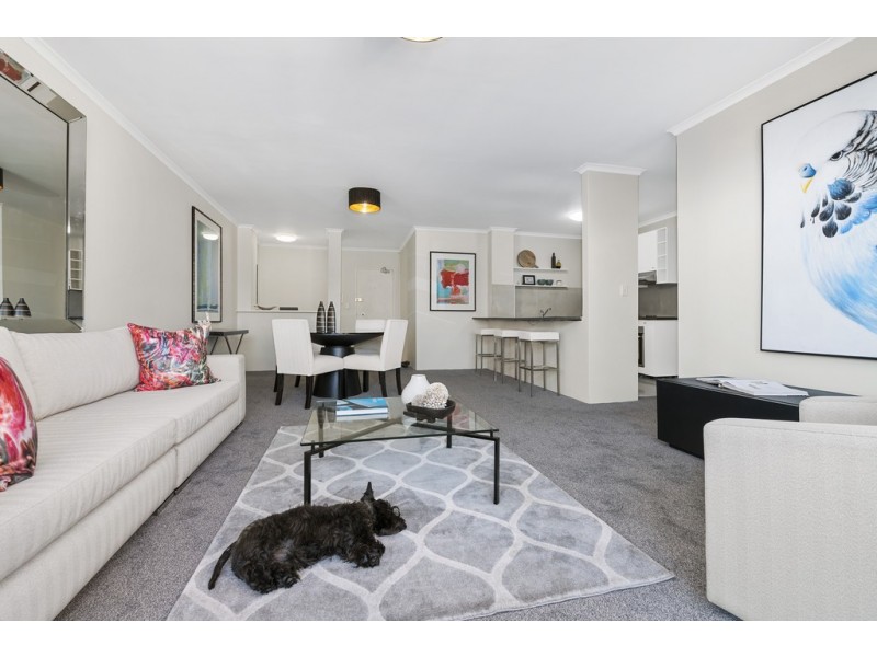 25/11-33 Maddison Street, Redfern NSW 2016