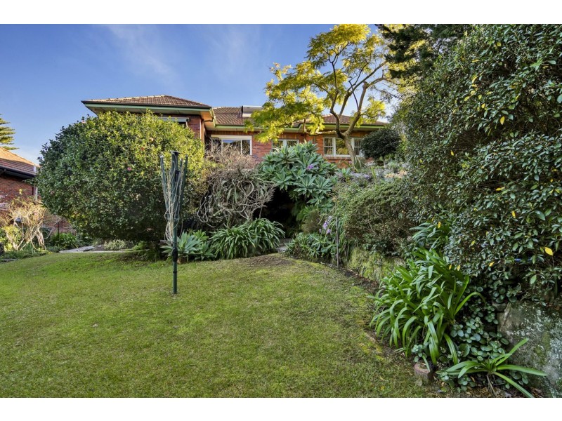 49 Archbold Road, Roseville NSW 2069