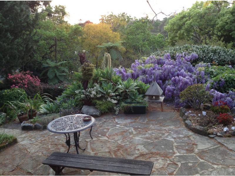 49 Archbold Road, Roseville NSW 2069