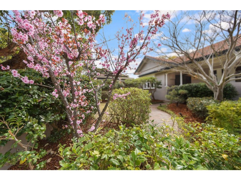 19 Fontaine Street, Chatswood NSW 2067