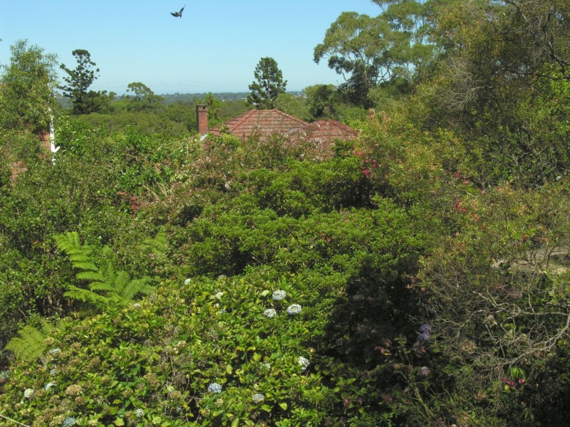 18 James Street, Chatswood NSW 2067