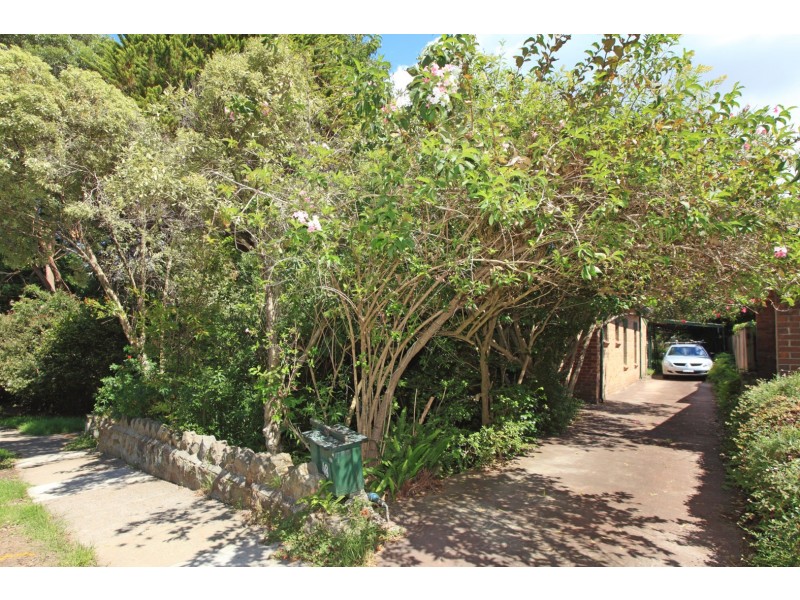 48 Park Avenue, Chatswood NSW 2067