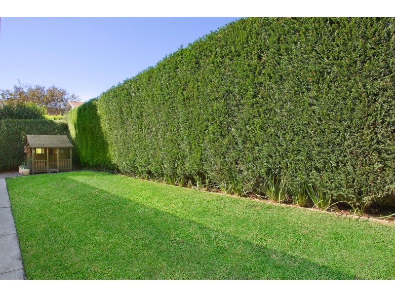 143A High Street, Willoughby NSW 2068