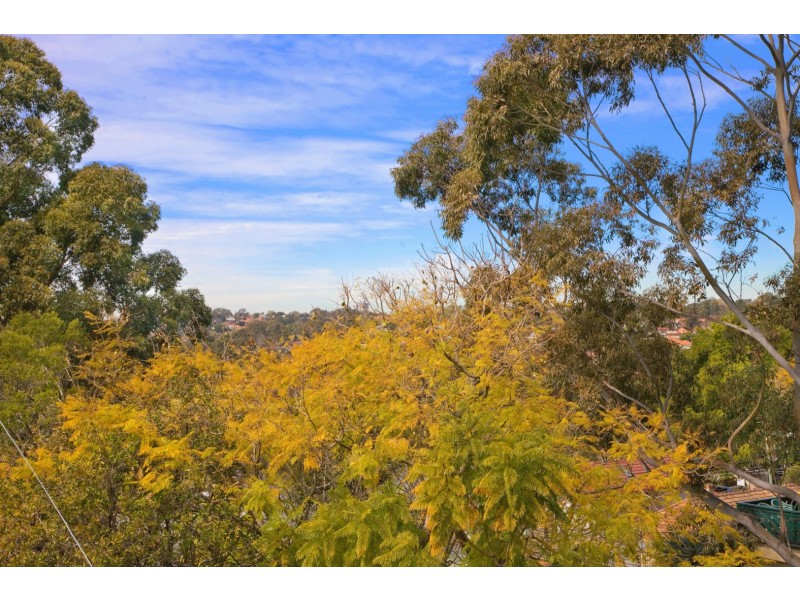 9A Armstrong Street, Willoughby NSW 2068