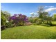 19 Victoria Avenue, Willoughby NSW 2068