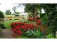 56 MacQueen Street, Aberdeen NSW 2336