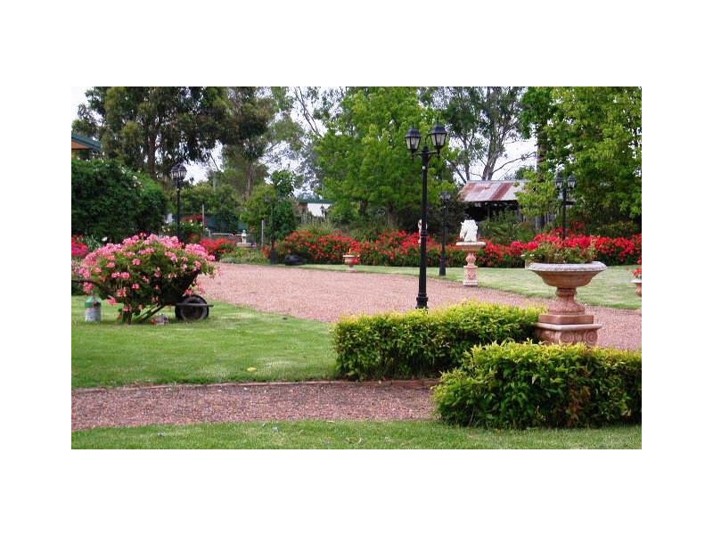56 MacQueen Street, Aberdeen NSW 2336