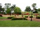 56 MacQueen Street, Aberdeen NSW 2336