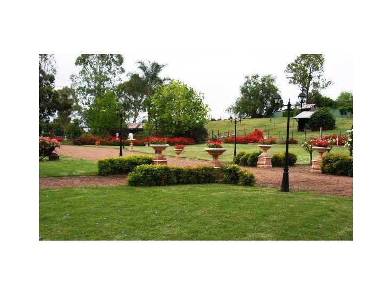56 MacQueen Street, Aberdeen NSW 2336