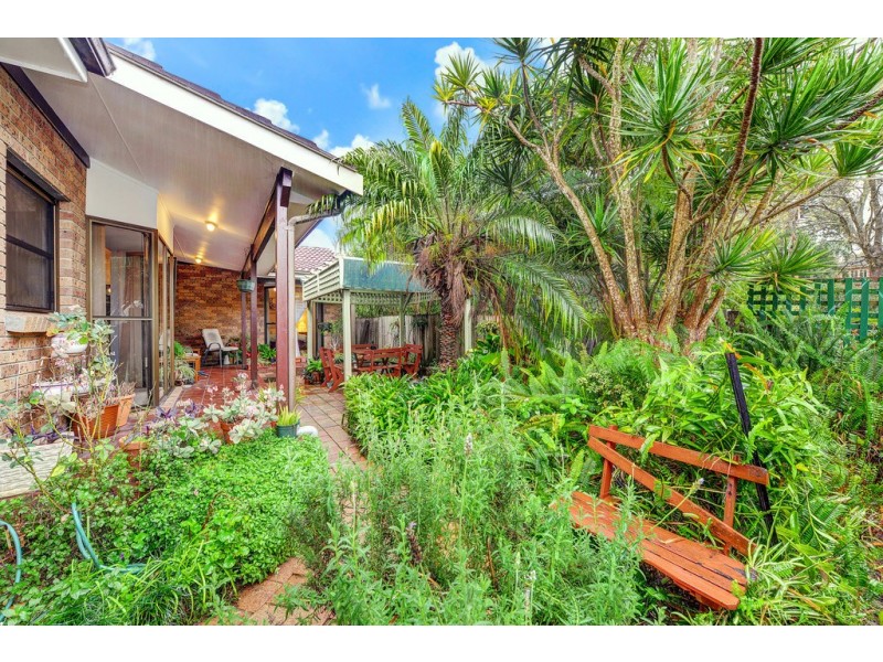 6A Alpha Road, Willoughby NSW 2068