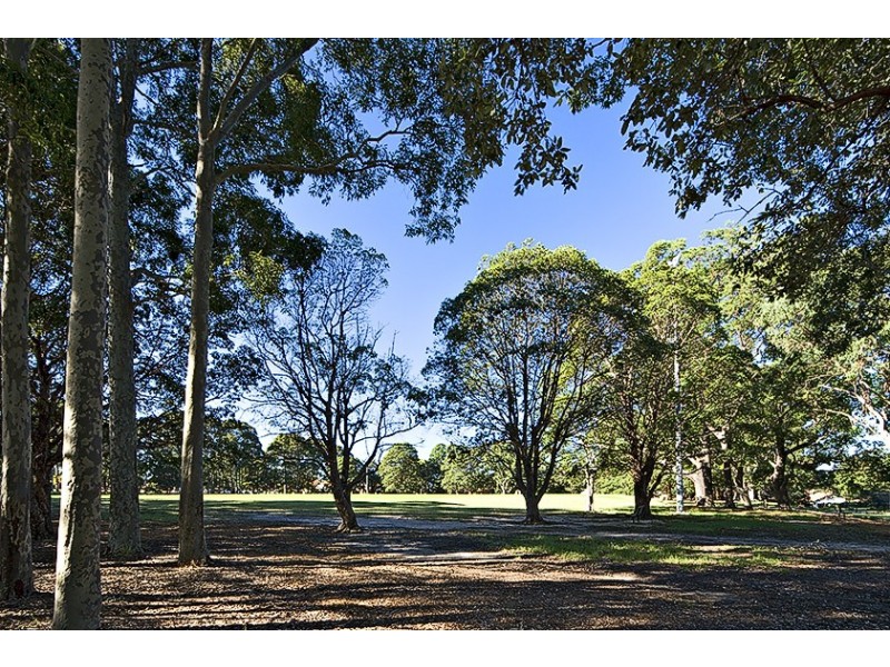 3 Edna Street, Willoughby NSW 2068