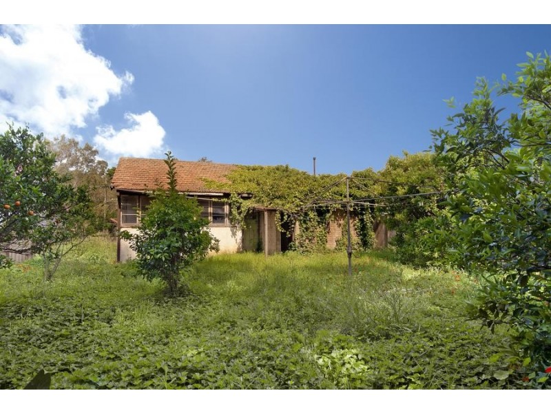 26 Wallace Street, Willoughby NSW 2068