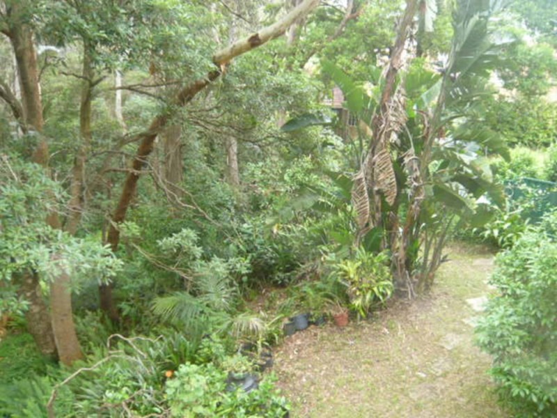 7 Ferndale Street, Chatswood NSW 2067