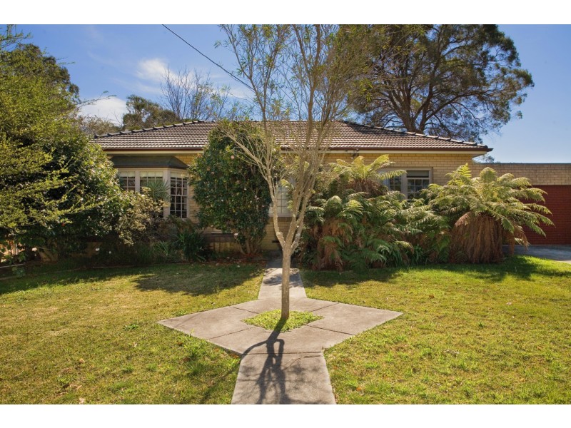 2 Bushland Avenue, Forestville NSW 2087