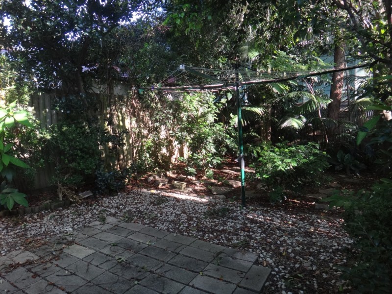 31a Robert Street, Willoughby NSW 2068