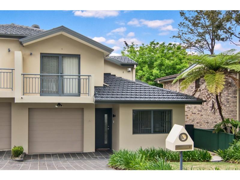 12a Sylvia Street, Chatswood NSW 2067