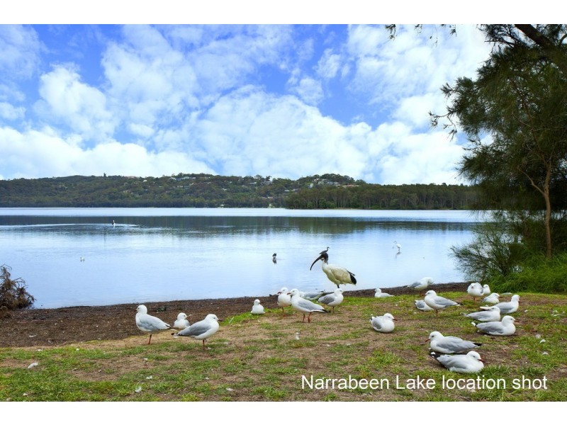 46 Clarke Street, Narrabeen NSW 2101