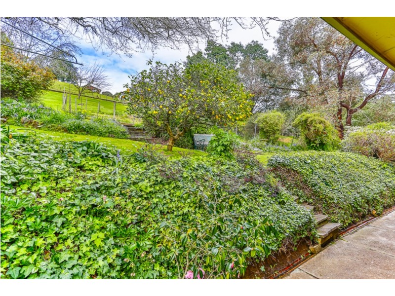 253 Upper York St, West Launceston TAS 7250