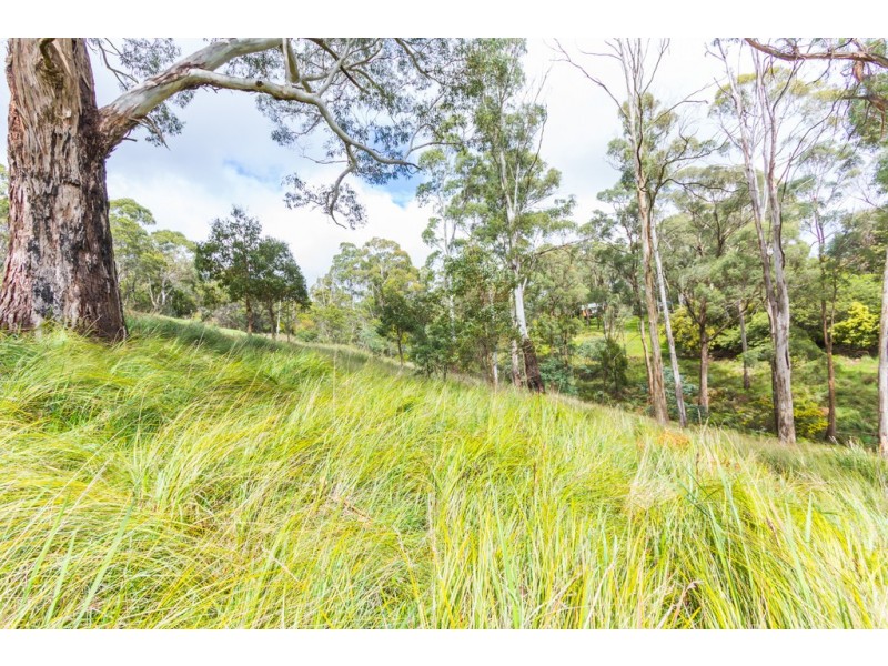 64 Ecclestone Road, Riverside TAS 7250