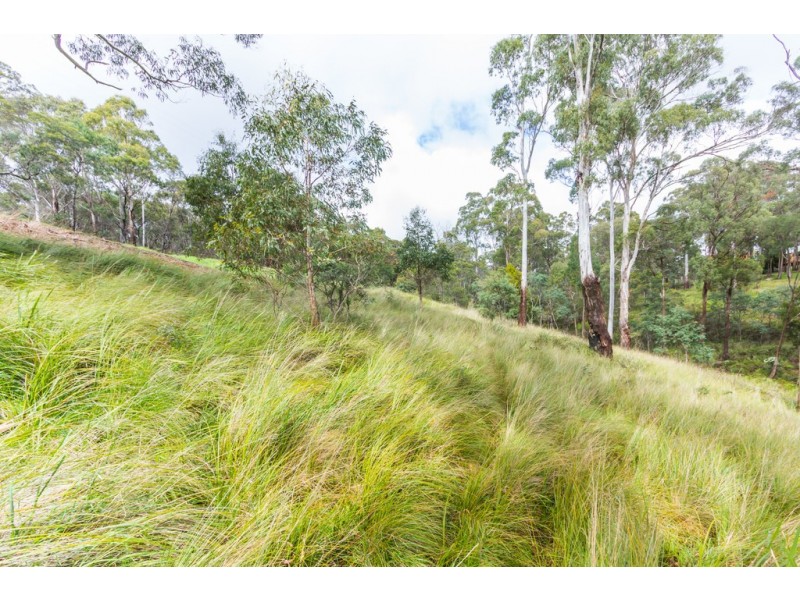 64 Ecclestone Road, Riverside TAS 7250