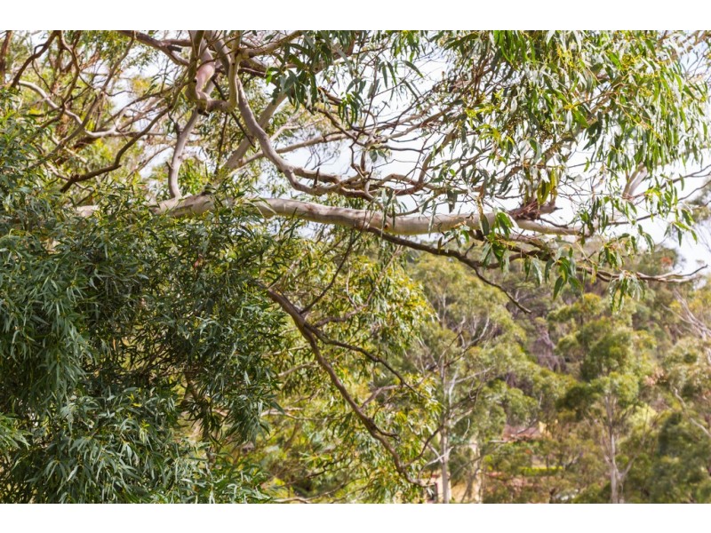 64 Ecclestone Road, Riverside TAS 7250