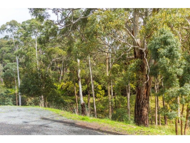 64 Ecclestone Road, Riverside TAS 7250