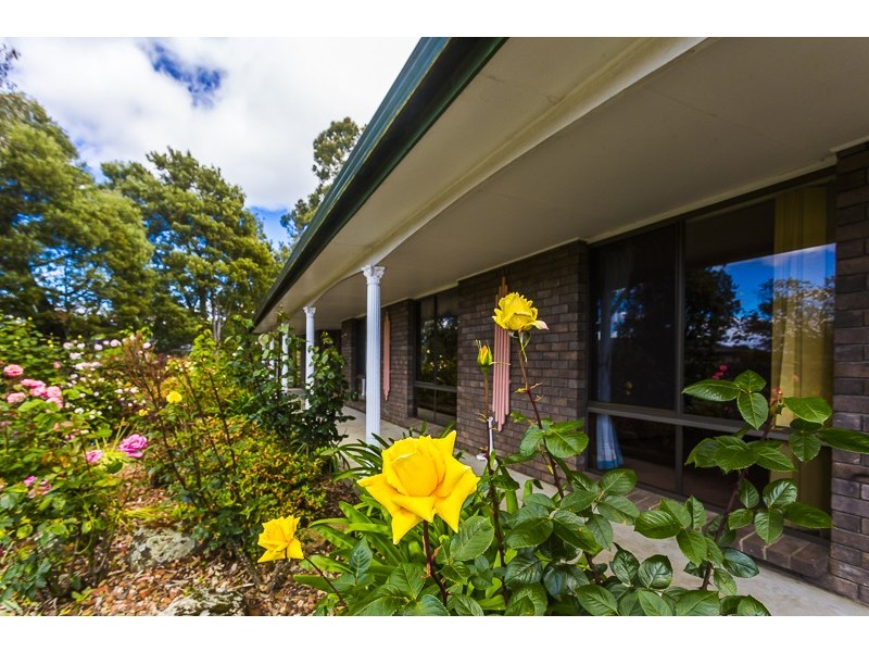 16 Cromwell St, Perth TAS 7300