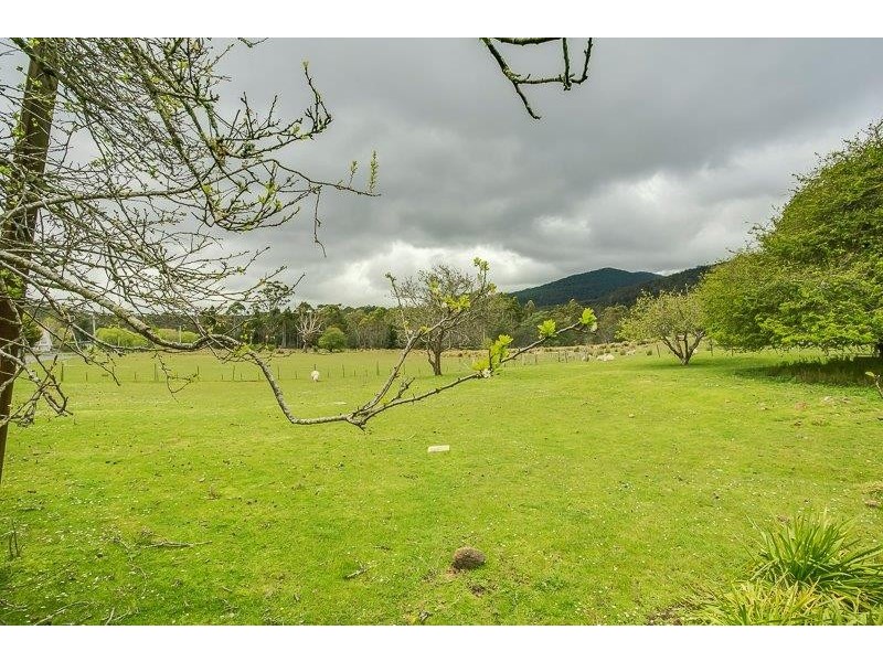 39419 Tasman Highway, Nunamara TAS 7259