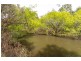 39419 Tasman Highway, Nunamara TAS 7259
