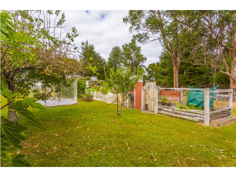 714 Winkleigh Road, Winkleigh TAS 7275