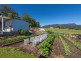228 Main Road, Meander TAS 7304