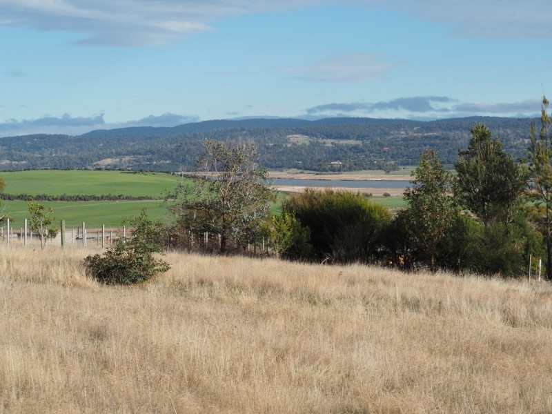 39 Peddie Drive, Dilston TAS 7252