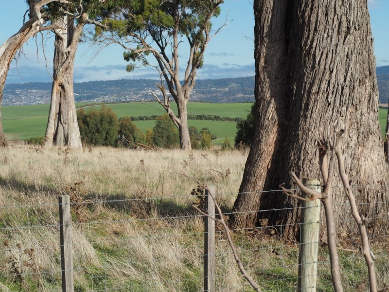 39 Peddie Drive, Dilston TAS 7252